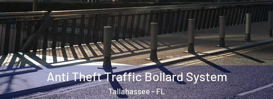Anti Theft Traffic Bollard System Tallahassee - FL