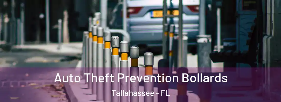 Auto Theft Prevention Bollards Tallahassee - FL