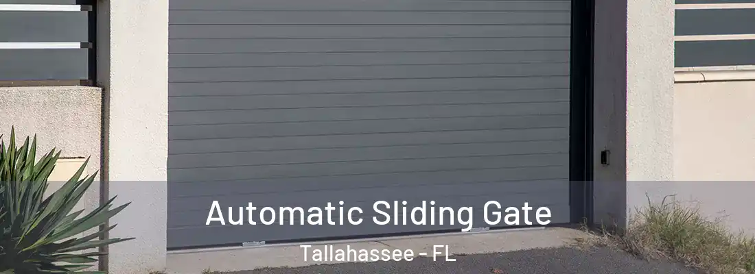 Automatic Sliding Gate Tallahassee - FL