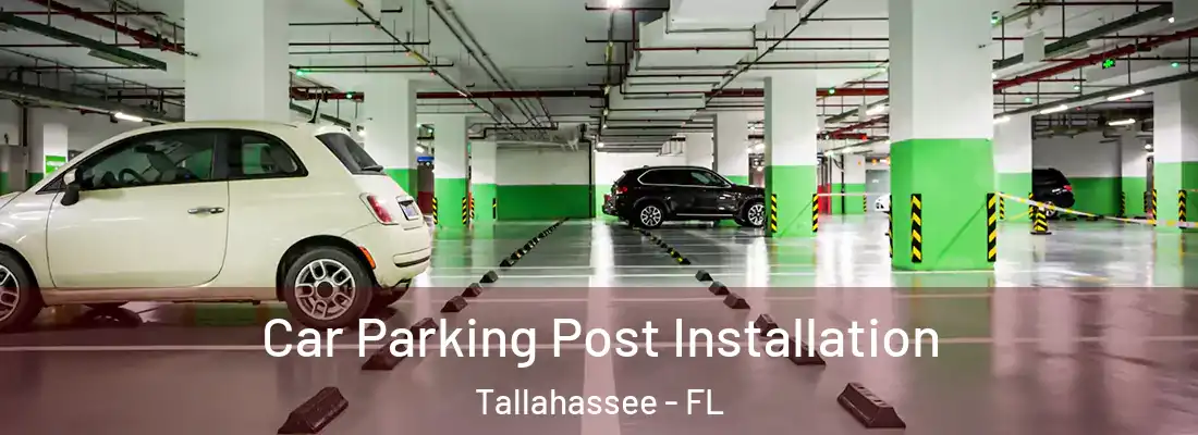 Car Parking Post Installation Tallahassee - FL