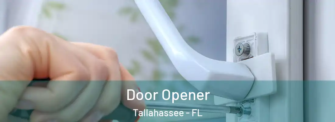 Door Opener Tallahassee - FL