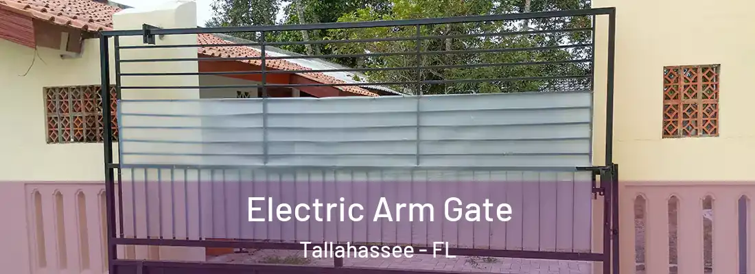 Electric Arm Gate Tallahassee - FL