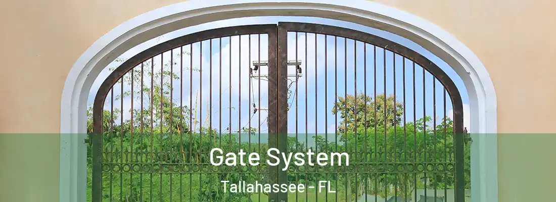 Gate System Tallahassee - FL