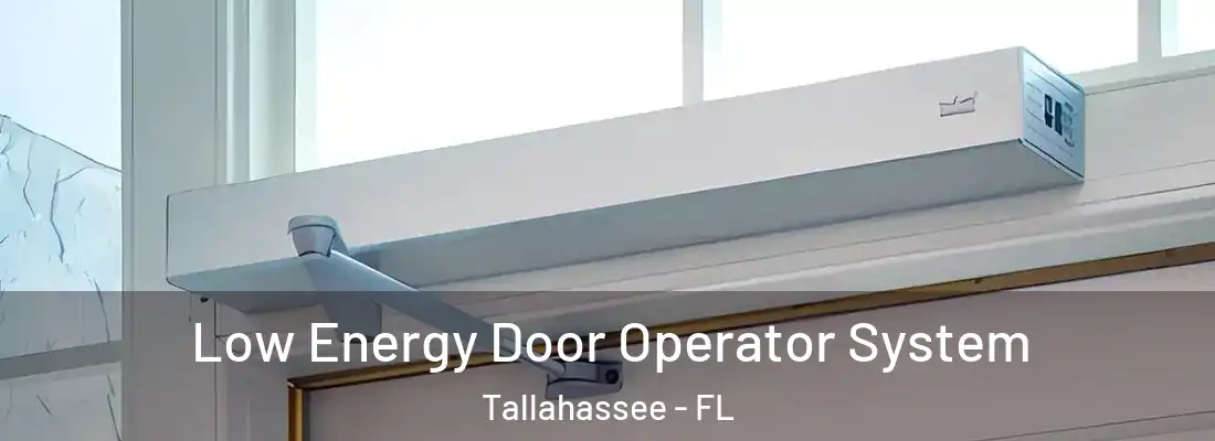 Low Energy Door Operator System Tallahassee - FL