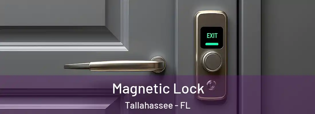 Magnetic Lock Tallahassee - FL