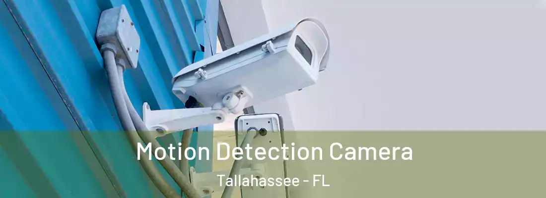 Motion Detection Camera Tallahassee - FL