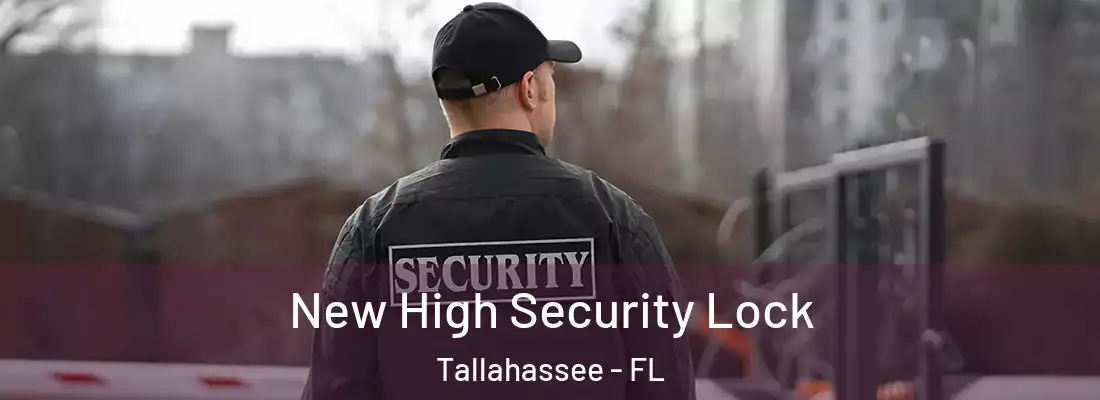 New High Security Lock Tallahassee - FL