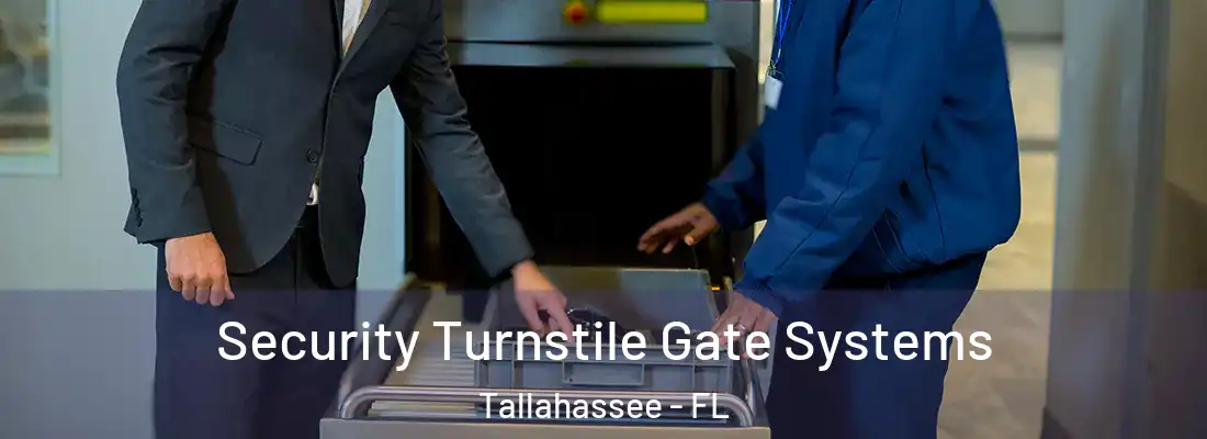 Security Turnstile Gate Systems Tallahassee - FL